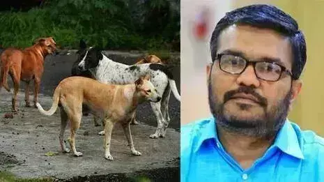 Palakkad: आवारा कुत्तों की समस्या का समाधान, एम बी राजेश ने नसबंदी पर जोर दिया
