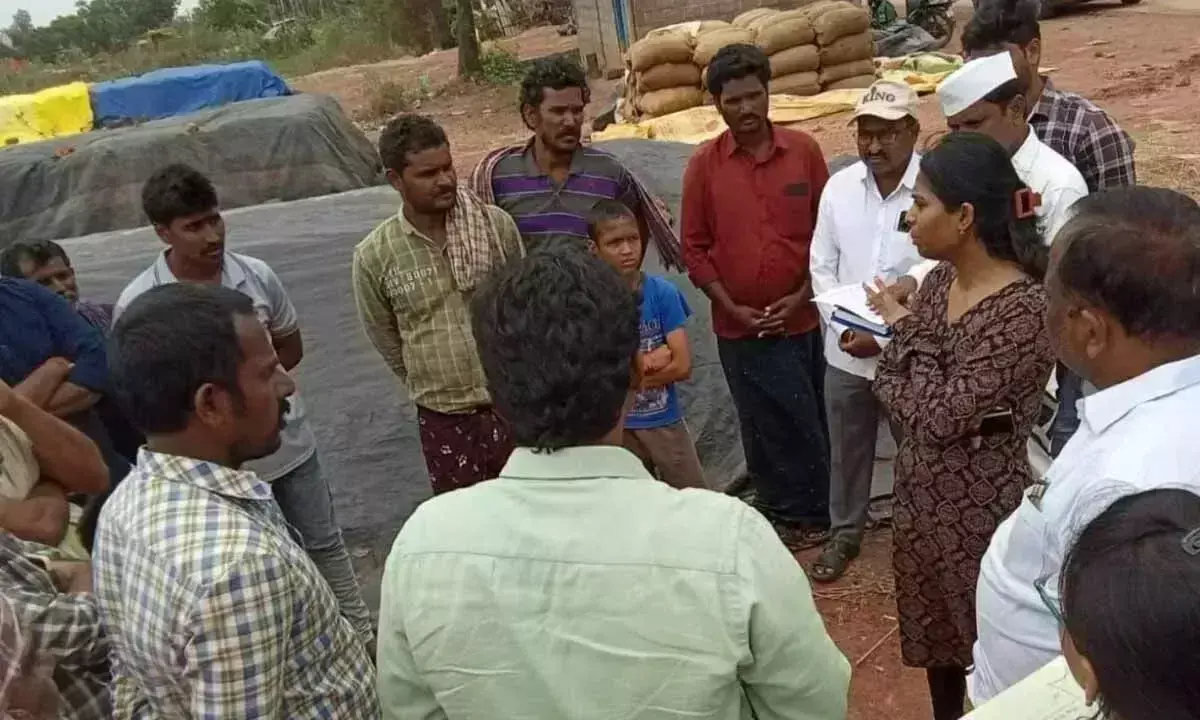JC ने बारिश से भीगे धान का निरीक्षण किया, किसानों को मदद का आश्वासन दिया