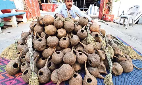 गौरैया से रिश्ता मजबूत करने के लिए त्रि नगर में कृत्रिम घोंसलों का निःशुल्क वितरण गौरैया से रिश्ता मजबूत करने के लिए त्रि नगर में कृत्रिम घोंसलों का निःशुल्क वितरण