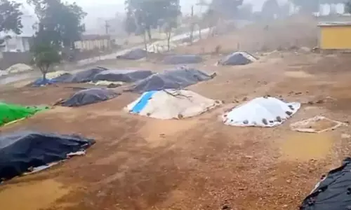 Telangana: निजामाबाद-कामारेड्डी में बेमौसम बारिश से फसलों को नुकसान