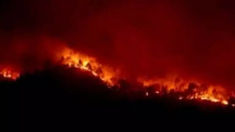 Goa के नाइक वाडा में भीषण आग से काजू का बागान नष्ट, 20 लाख रुपये का नुकसान Goa के नाइक वाडा में भीषण आग से काजू का बागान नष्ट, 20 लाख रुपये का नुकसान