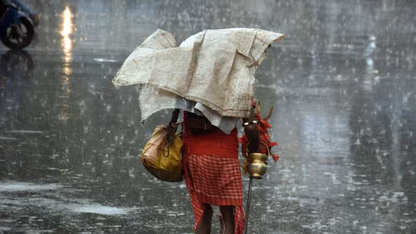 IMD ने राज्य में बारिश की भविष्यवाणी की, चार जिलों में येलो अलर्ट