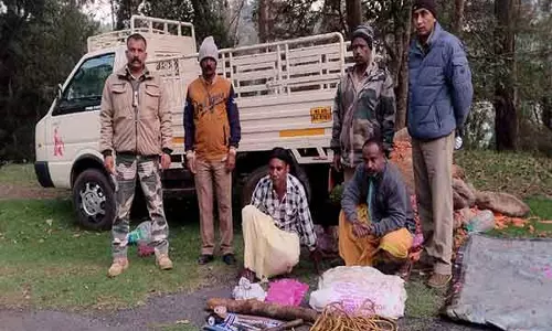 Tamil Nadu: ऊटी के पास बाइसन को मारने के आरोप में दो लोग गिरफ्तार, वन विभाग दो अन्य की तलाश में जुटा Tamil Nadu: ऊटी के पास बाइसन को मारने के आरोप में दो लोग गिरफ्तार, वन विभाग दो अन्य की तलाश में जुटा