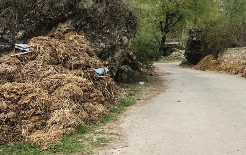 Srinagar: सड़कों पर गोबर के ढेर से प्रेंग के लोग परेशान Srinagar: सड़कों पर गोबर के ढेर से प्रेंग के लोग परेशान