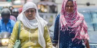 अग्नि नचतिरम के दौरान ठंडा रहना: गर्मी से बचने वाले खाद्य पदार्थ अग्नि नचतिरम के दौरान ठंडा रहना: गर्मी से बचने वाले खाद्य पदार्थ