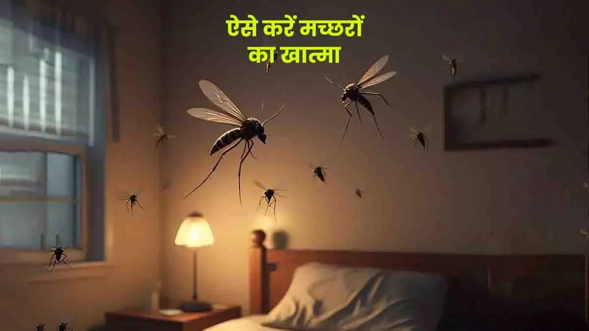 पानी में इन चीजों को मिलाकर बनाएं ये 3 Mosquito Sprays पानी में इन चीजों को मिलाकर बनाएं ये 3 Mosquito Sprays