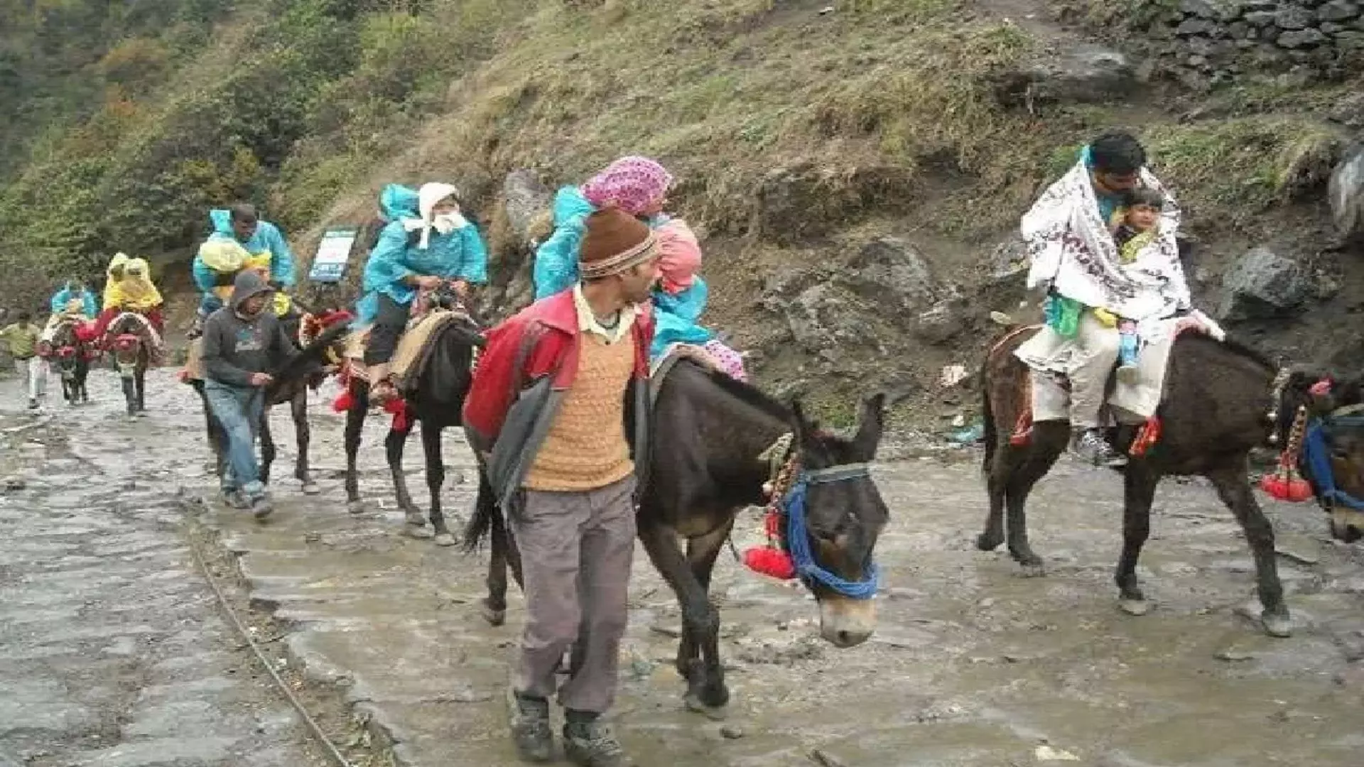 Uttarakhand प्रशासन का फैसला: केदारनाथ यात्रा में नहीं चलेंगे घोड़े-खच्चर Uttarakhand प्रशासन का फैसला: केदारनाथ यात्रा में नहीं चलेंगे घोड़े-खच्चर