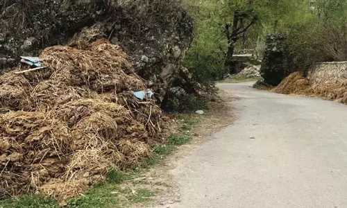 Srinagar: सड़कों पर गोबर के ढेर से प्रेंग के लोग परेशान Srinagar: सड़कों पर गोबर के ढेर से प्रेंग के लोग परेशान