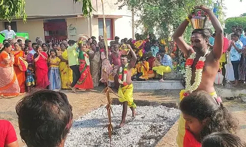 विरालीमलई मेइकन्नुदैयाल मंदिर में अग्नि-दहन उत्सव विरालीमलई मेइकन्नुदैयाल मंदिर में अग्नि-दहन उत्सव