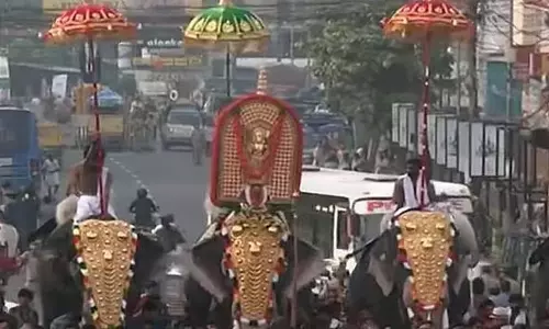 त्रिशूर में पूरम उत्सव त्रिशूर में पूरम उत्सव