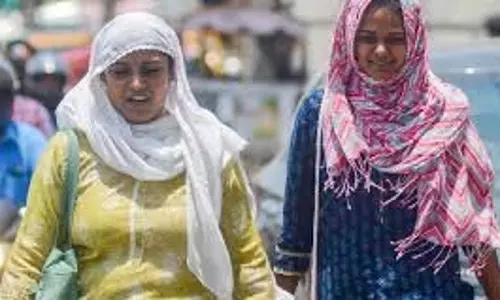 अग्नि नचतिरम के दौरान ठंडा रहना: गर्मी से बचने वाले खाद्य पदार्थ अग्नि नचतिरम के दौरान ठंडा रहना: गर्मी से बचने वाले खाद्य पदार्थ