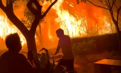 Rohtak में खेतों में लगी आग से सोसायटी निवासियों में दहशत Rohtak में खेतों में लगी आग से सोसायटी निवासियों में दहशत