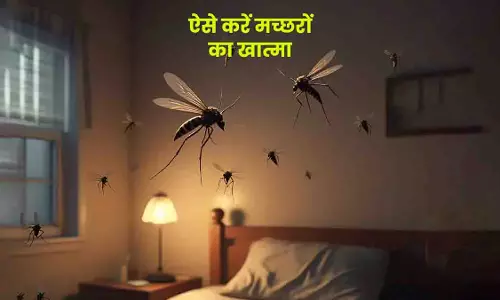 पानी में इन चीजों को मिलाकर बनाएं ये 3 Mosquito Sprays