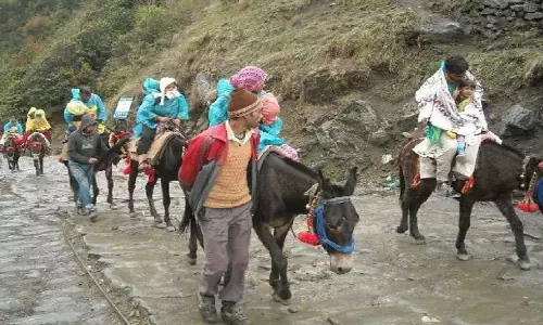 Uttarakhand प्रशासन का फैसला: केदारनाथ यात्रा में नहीं चलेंगे घोड़े-खच्चर Uttarakhand प्रशासन का फैसला: केदारनाथ यात्रा में नहीं चलेंगे घोड़े-खच्चर