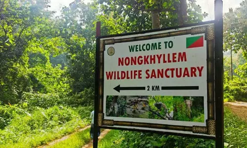 Meghalaya: HYC ने नोंगखिल्लेम वन्यजीव अभयारण्य में इको-पर्यटन परियोजना का विरोध किया Meghalaya: HYC ने नोंगखिल्लेम वन्यजीव अभयारण्य में इको-पर्यटन परियोजना का विरोध किया