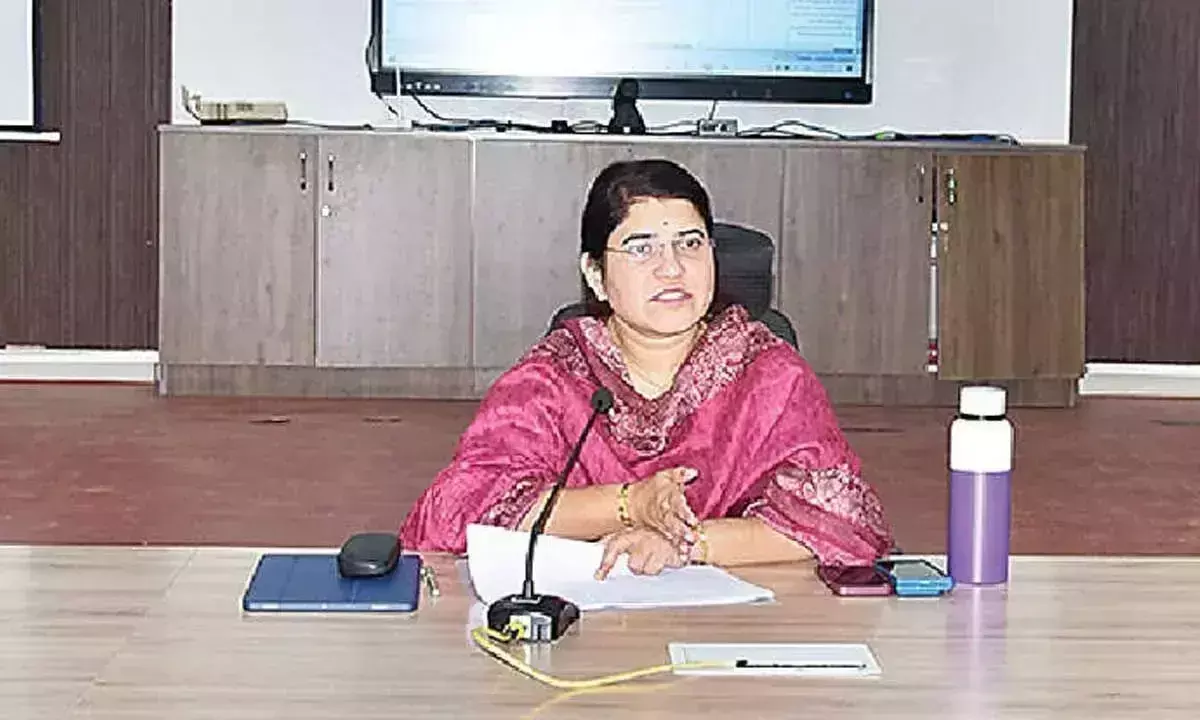 कलेक्टर ने MSME पार्कों के लिए सरकारी भूमि चिन्हित करने के निर्देश दिए