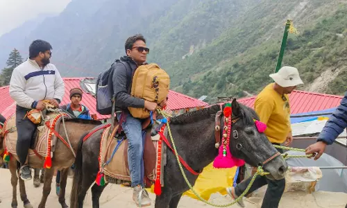 Kedarnath Yatra में घोड़ों की मौत का मामला, आज होगा निर्णय संचालन पर Kedarnath Yatra में घोड़ों की मौत का मामला, आज होगा निर्णय संचालन पर