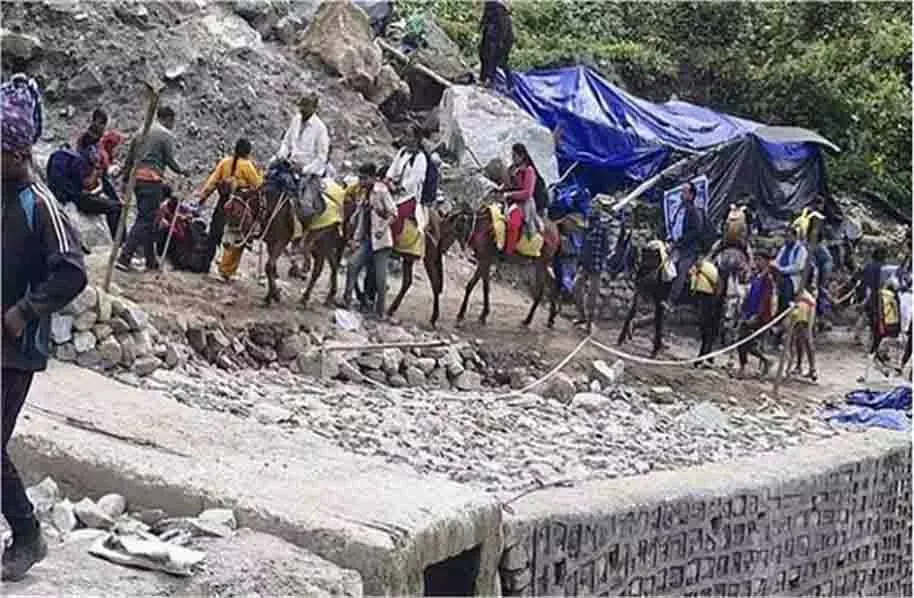Kedarnath: यात्रा मार्ग पर घोड़ों और खच्चरों की आवाजाही पर प्रतिबंध जारी Kedarnath: यात्रा मार्ग पर घोड़ों और खच्चरों की आवाजाही पर प्रतिबंध जारी