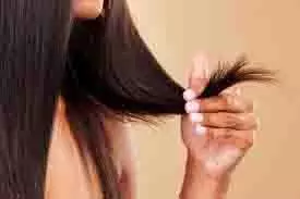 Hair Care: घरेलू उपाय आजमाकर दोमुंहे बालों की समस्या से पाएं छुटकारा Hair Care: घरेलू उपाय आजमाकर दोमुंहे बालों की समस्या से पाएं छुटकारा