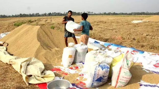 Paddy procurement: सप्लाईको को पिछले सीजन का 2049.02 करोड़ रुपये अभी तक नहीं मिला Paddy procurement: सप्लाईको को पिछले सीजन का 2049.02 करोड़ रुपये अभी तक नहीं मिला