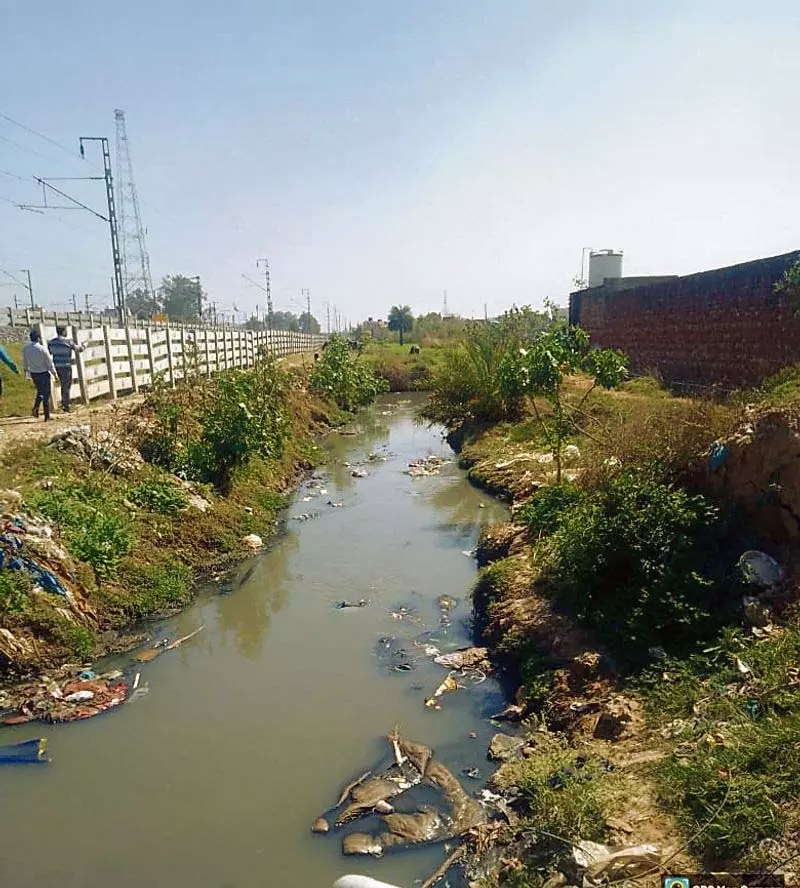 Haryana: नालियों में अनुपचारित अपशिष्ट छोड़ने पर विभागों को दंडित किया Haryana: नालियों में अनुपचारित अपशिष्ट छोड़ने पर विभागों को दंडित किया