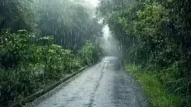 Panna में मौसम ने बदला मिजाज, हल्की बारिश से गिरा तापमान Panna में मौसम ने बदला मिजाज, हल्की बारिश से गिरा तापमान