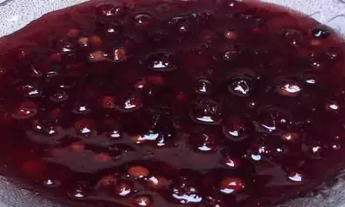Phalsa Chutney: सेहत के लिए भी फायदेमंद है ये स्वादिष्ट खट्टी-मीठी डिश Phalsa Chutney: सेहत के लिए भी फायदेमंद है ये स्वादिष्ट खट्टी-मीठी डिश