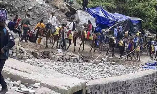 Kedarnath: यात्रा मार्ग पर घोड़ों और खच्चरों की आवाजाही पर प्रतिबंध जारी Kedarnath: यात्रा मार्ग पर घोड़ों और खच्चरों की आवाजाही पर प्रतिबंध जारी