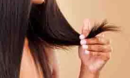 Hair Care: घरेलू उपाय आजमाकर दोमुंहे बालों की समस्या से पाएं छुटकारा