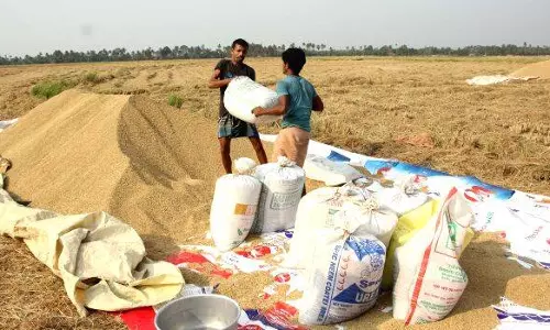 Paddy procurement: सप्लाईको को पिछले सीजन का 2049.02 करोड़ रुपये अभी तक नहीं मिला