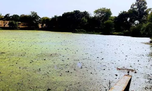 Sirsa के ग्रामीणों ने गंदे तालाब को लेकर जताया विरोध