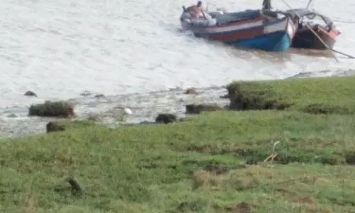 केंद्रपाड़ा में आतंक का इतिहास, घुसपैठ का डर