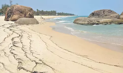 भारत की तटरेखा बहुत लंबी है, एसओआई अध्ययन में पाया गया