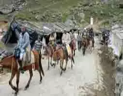 Kedarnath Yatra: आज से ट्रायल के तौर पर स्वस्थ घोड़े-खच्चरों का होगा संचालन Kedarnath Yatra: आज से ट्रायल के तौर पर स्वस्थ घोड़े-खच्चरों का होगा संचालन