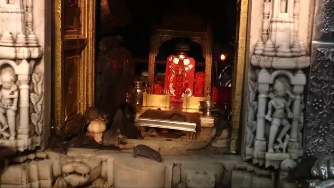 Karni Mata Temple: एक श्राप ने रखी थी नींव, जानें पूरी कहानी Karni Mata Temple: एक श्राप ने रखी थी नींव, जानें पूरी कहानी