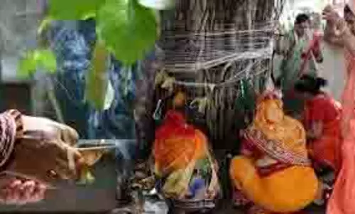 धर्म: वैवाहिक जीवन में चल रहा विवाद, वट सावित्री व्रत के दिन करें ये छोटा सा उपाय