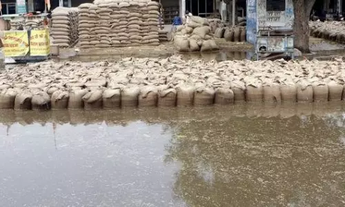 Prayagraj: बारिश में भीगी 15 हजार बोरी गेहूं, पंजाब से भेजा गया था अनाज Prayagraj: बारिश में भीगी 15 हजार बोरी गेहूं, पंजाब से भेजा गया था अनाज