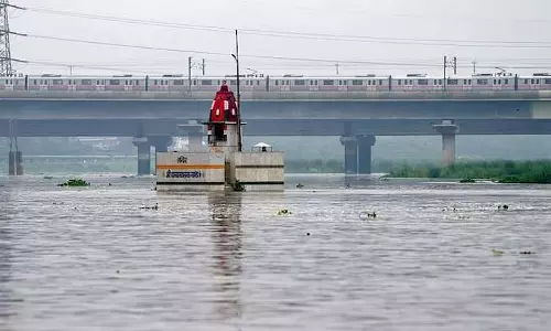 Delhi: यमुना सफाई योजना को फिर से शुरू करने की जरूरत, सिर्फ धन से नहीं होगा काम