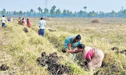 Odisha में 31 मई तक दिव्यांग लोगों को मनरेगा और जॉब कार्ड में शामिल किया जाएगा