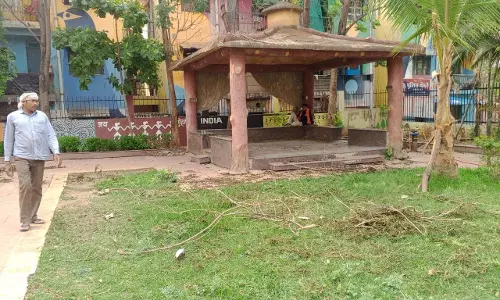 कांशीराम उद्यान में तेज आंधी-तूफान से गिरे पेड़ों को साफ किया गया कांशीराम उद्यान में तेज आंधी-तूफान से गिरे पेड़ों को साफ किया गया
