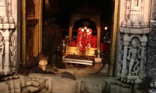 Karni Mata Temple: एक श्राप ने रखी थी नींव, जानें पूरी कहानी Karni Mata Temple: एक श्राप ने रखी थी नींव, जानें पूरी कहानी