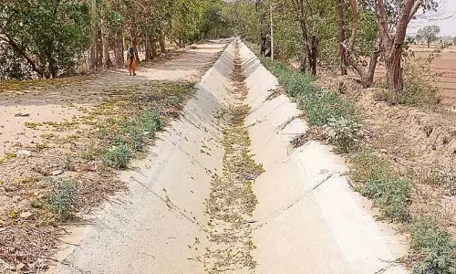 Haryana: भाखड़ा बांध से प्रवाह कम होने के कारण सिरसा में पानी की कमी Haryana: भाखड़ा बांध से प्रवाह कम होने के कारण सिरसा में पानी की कमी