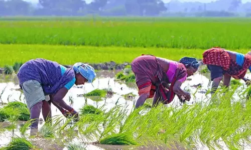 Agriculture : चुनौतियों का सामना करना और अवसरों को अपनाना