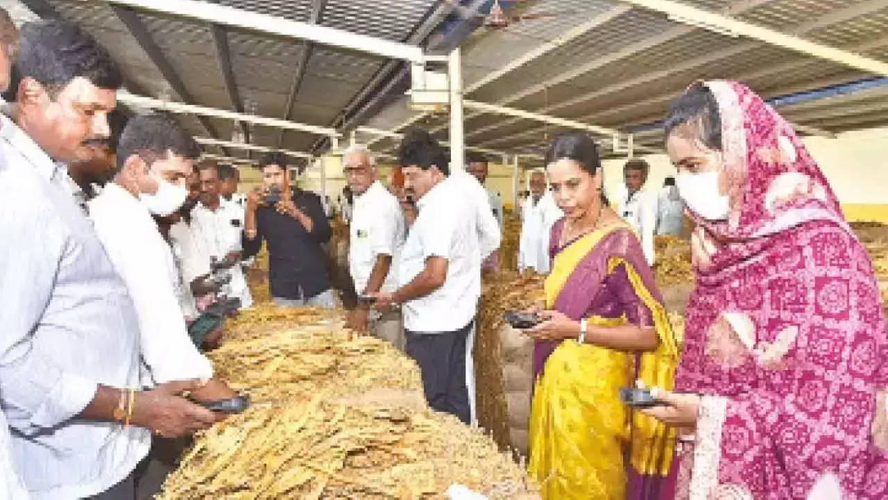Andhra: कलेक्टर थमीम अंसारिया ने तंबाकू नीलामी केंद्र का दौरा किया