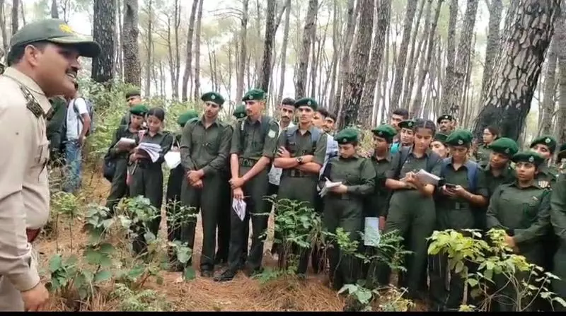 Nurpur में 82 नव-प्रतिनिधियों को तकनीकी फील्ड प्रशिक्षण दिया गया Nurpur में 82 नव-प्रतिनिधियों को तकनीकी फील्ड प्रशिक्षण दिया गया