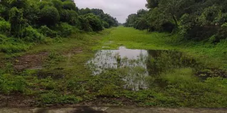 Jajpur: एनसीएसयूवाई सिर्फ कागज़ों पर सीमित Jajpur: एनसीएसयूवाई सिर्फ कागज़ों पर सीमित