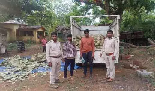 केंदू पत्ते ले जा रहा वाहन जब्त, दो लोग हिरासत में केंदू पत्ते ले जा रहा वाहन जब्त, दो लोग हिरासत में