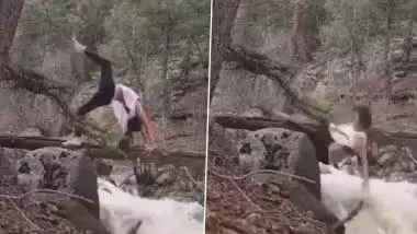 VIDEO: पेड़ पर चढ़कर स्टंट करने लगी लड़की, फिर जो हुआ... VIDEO: पेड़ पर चढ़कर स्टंट करने लगी लड़की, फिर जो हुआ...