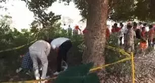 Ballia: पॉलीथिन में लिपटे मानव अंगों से सनसनी, बागीचे में मिले दो हाथ और दो पैर Ballia: पॉलीथिन में लिपटे मानव अंगों से सनसनी, बागीचे में मिले दो हाथ और दो पैर
