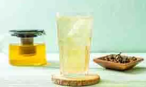 summer drinks: गर्मियों में गोंद कतीरा से बनाएं ये टेस्टी ड्रिंक्स, लू भी आपको छू नहीं पाएगी